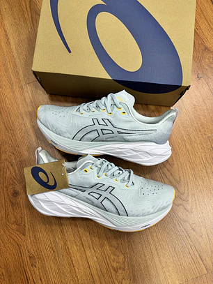 Asics Novablast 4 Gris 
