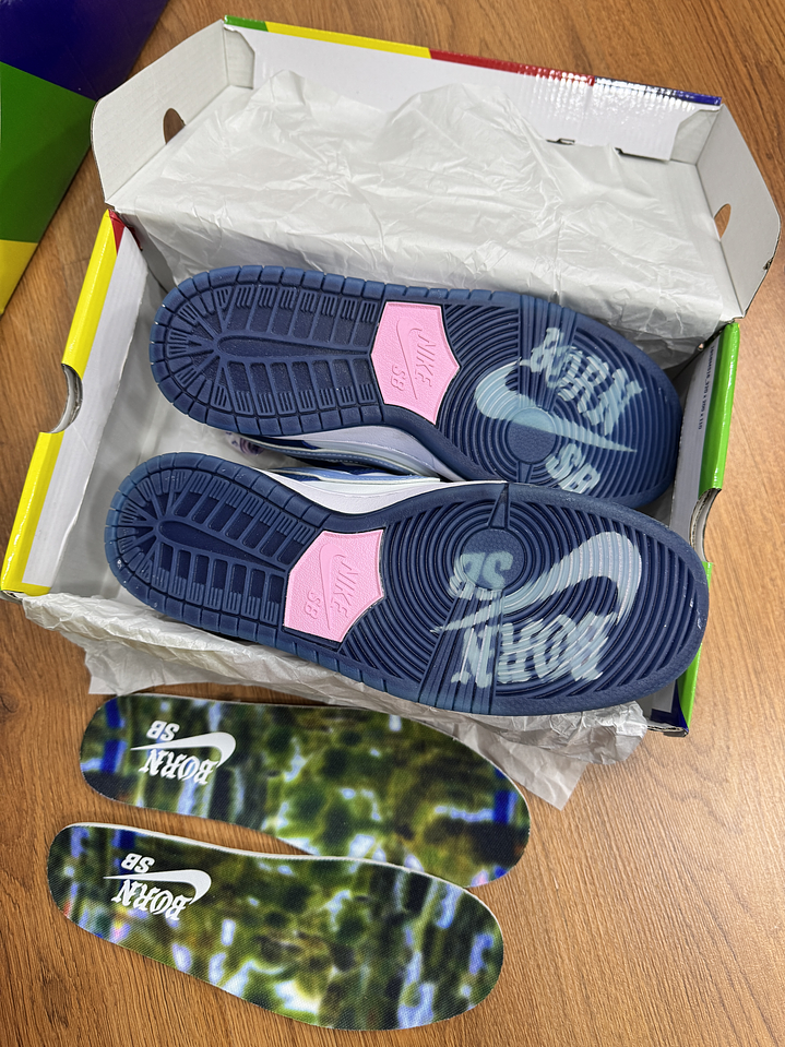 Nike Sb Dunk Born  2