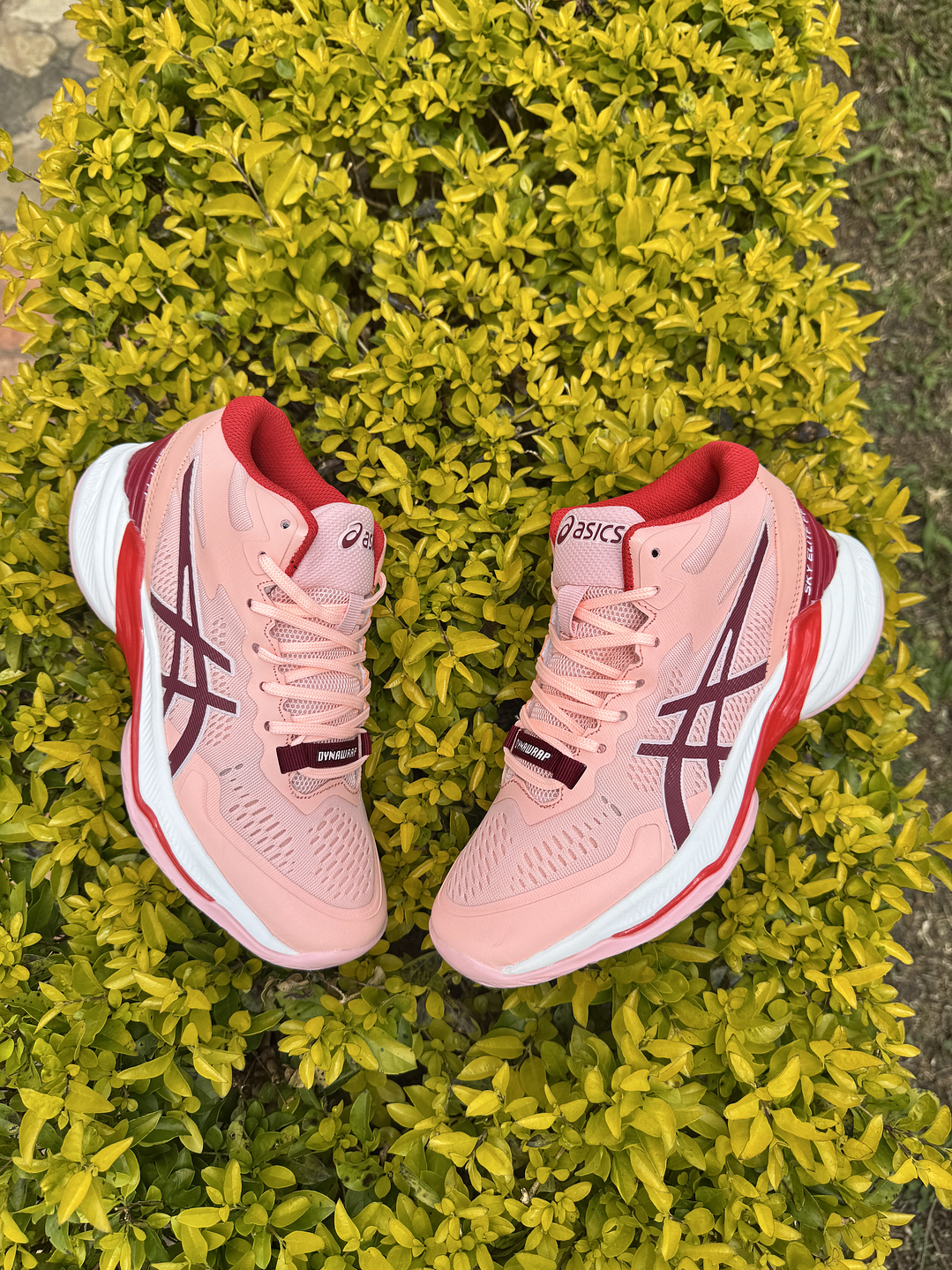 Asics Sky 2 Pink  1