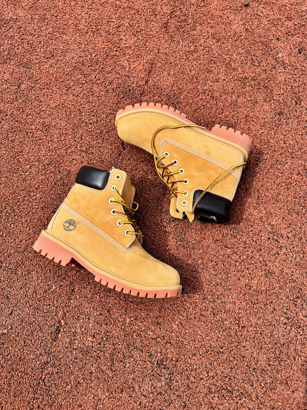 Botas Timberland Premium 6  1