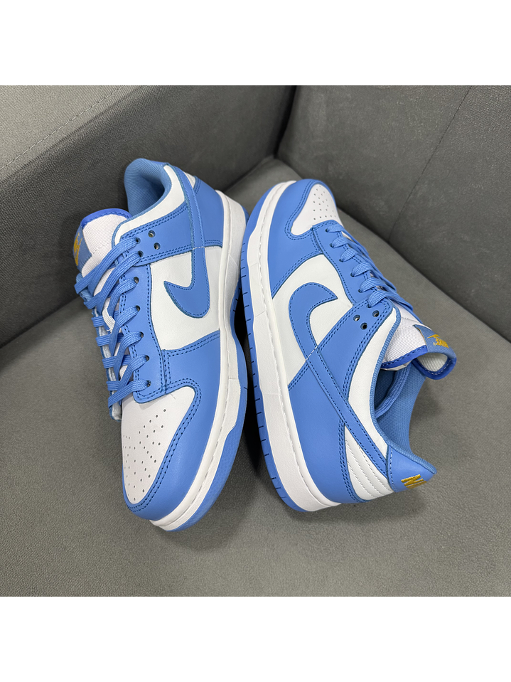 Nike Sb Dunk Low Coast  1