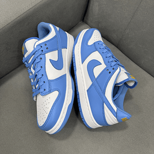 Nike Sb Dunk Low Coast 