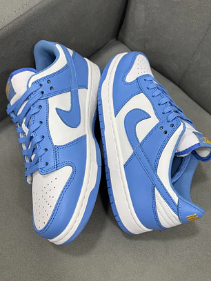 Nike Sb Dunk Low Coast 