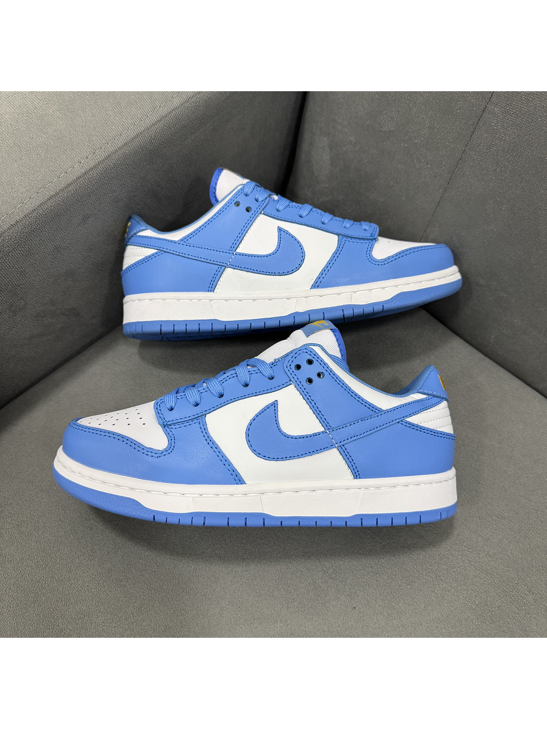 Nike Sb Dunk Low Coast  2