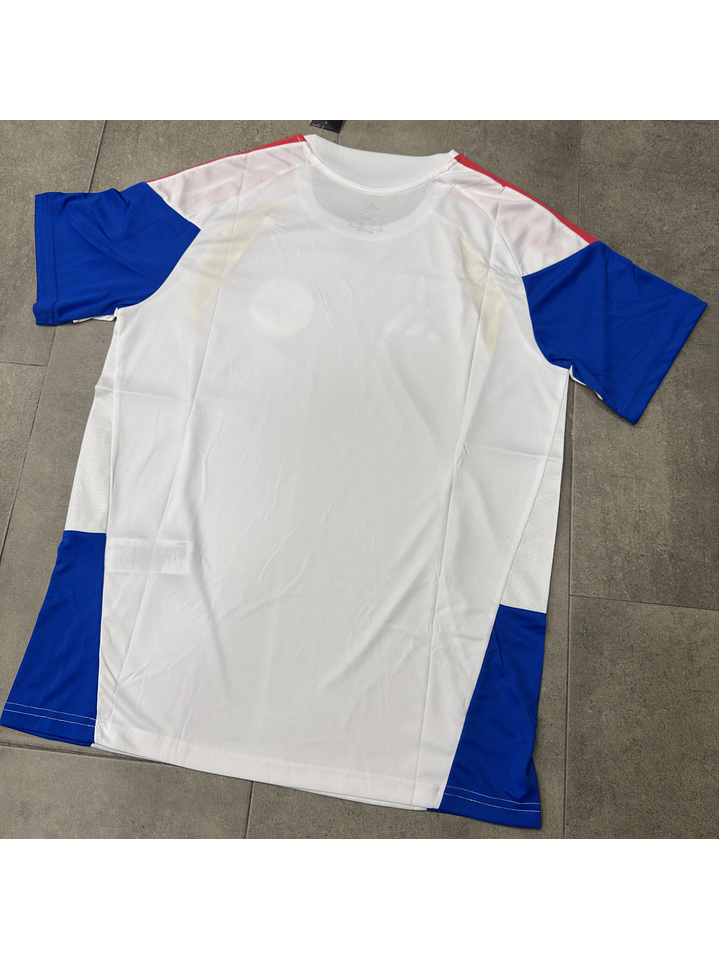 Camiseta Entrenamiento Importada 1.1 Blanca Hombre 2