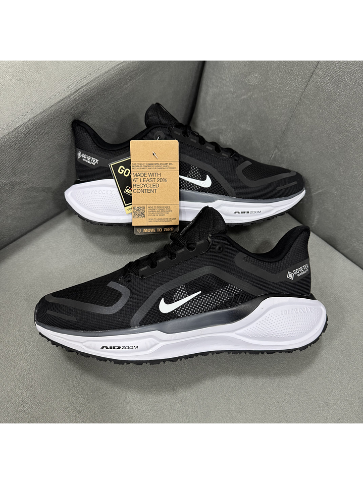 Nike Pegasus 41 Gore-tex 1