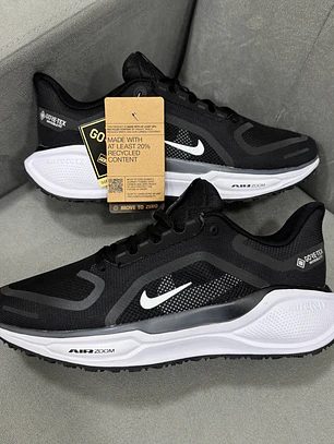 Nike Pegasus 41 Gore-tex