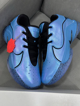 Nike Lebron 22 Inmortalized