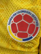 Camiseta Jugador Selección Colombia 1.1 Amarilla Hombre  - Miniatura 6
