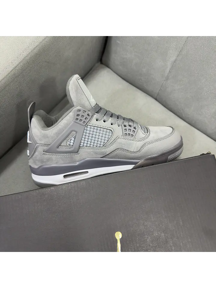 Jordan Retro 4 Bike Air Gris 2