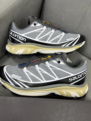 Salomón XT-6 Gris