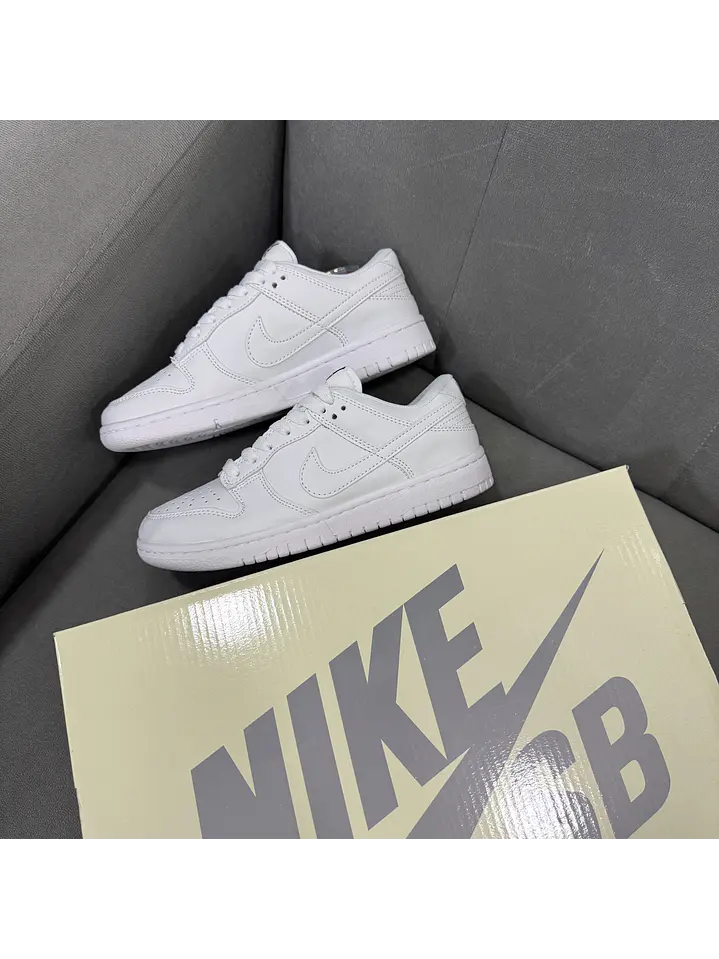 Nike Sb Dunk Low Total White 2