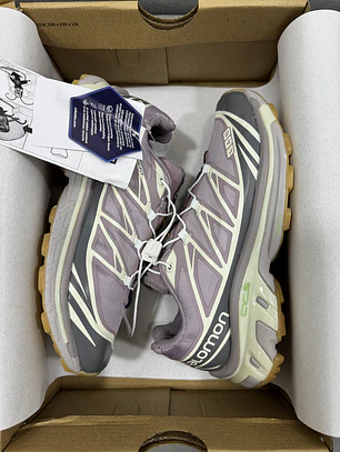 Salomón XT-6 Lab Morado 