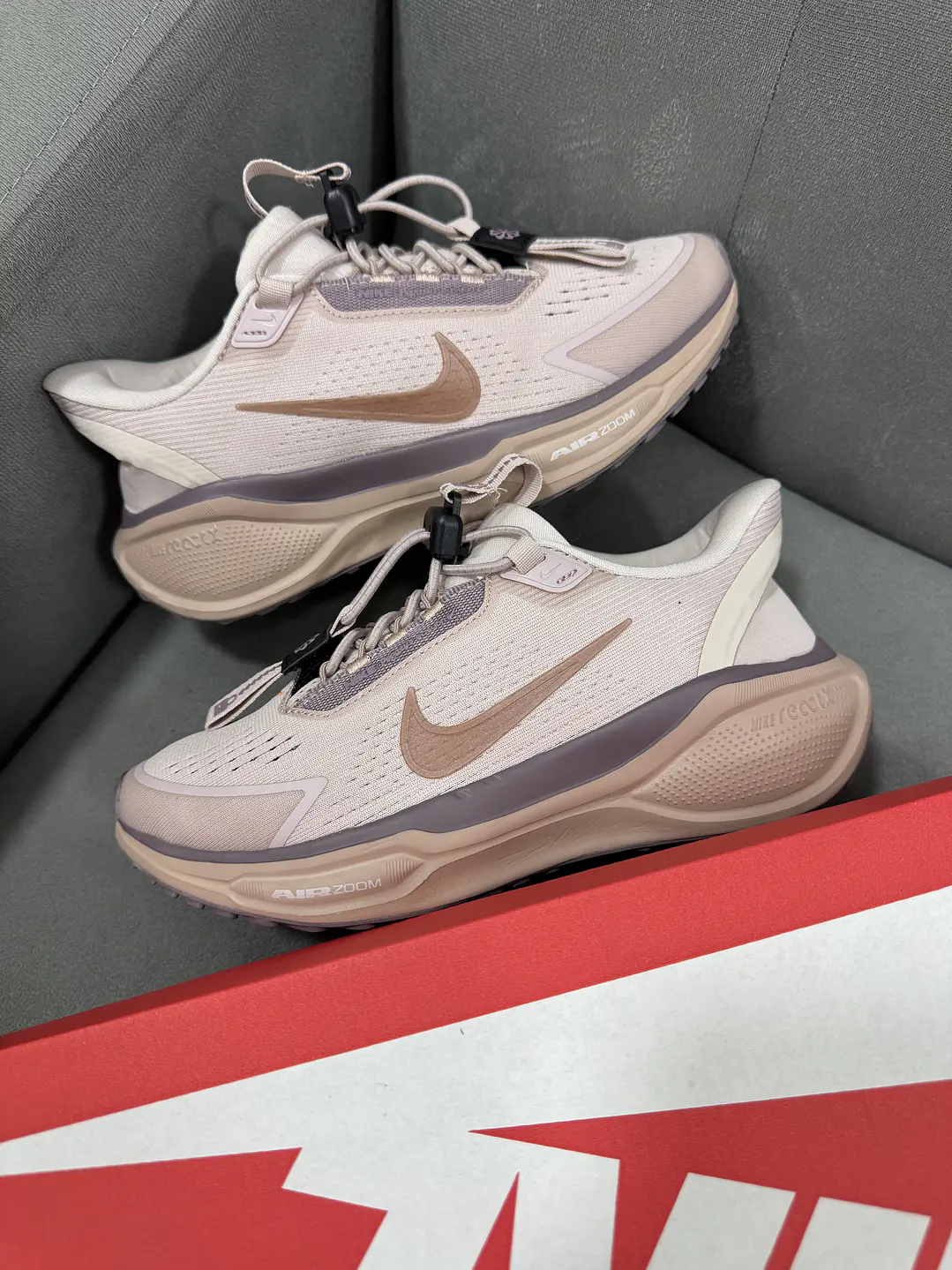 Nike Pegasus 42 Easyon Mujer 1