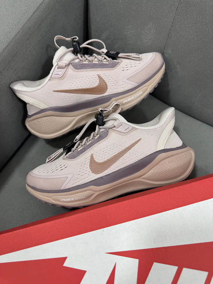 Nike Pegasus 42 Easyon Mujer 1