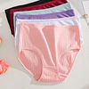 Pantaleta algodón tiro alto colores  3