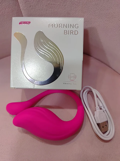 VIBRADOR CONTROL APP - MORNING BIRD