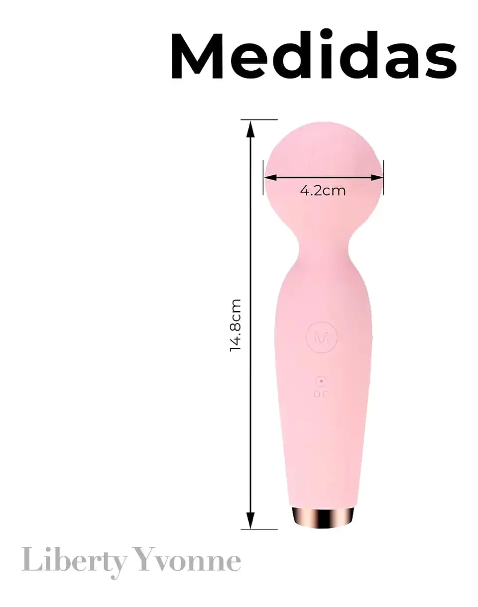 VIBRADOR HITACHI MEDIANO - LILO  1