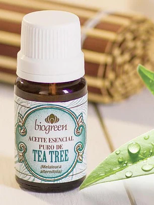 Aceite Esencial Puro de Tea Tree - Árbol del Té 10 ml