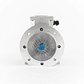 Motor Trifásico 1/2 HP (0.37 kW) 1800 RPM Carcasa Aluminio 71 B35 IEC IP55 IE3 - Miniatura 2