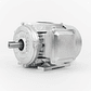 Motor eléctrico Trifásico 1/2 HP (0.37 kW) 1200 RPM Carcasa Aluminio 80 B3 IEC IP55 IE3 - Miniatura 1