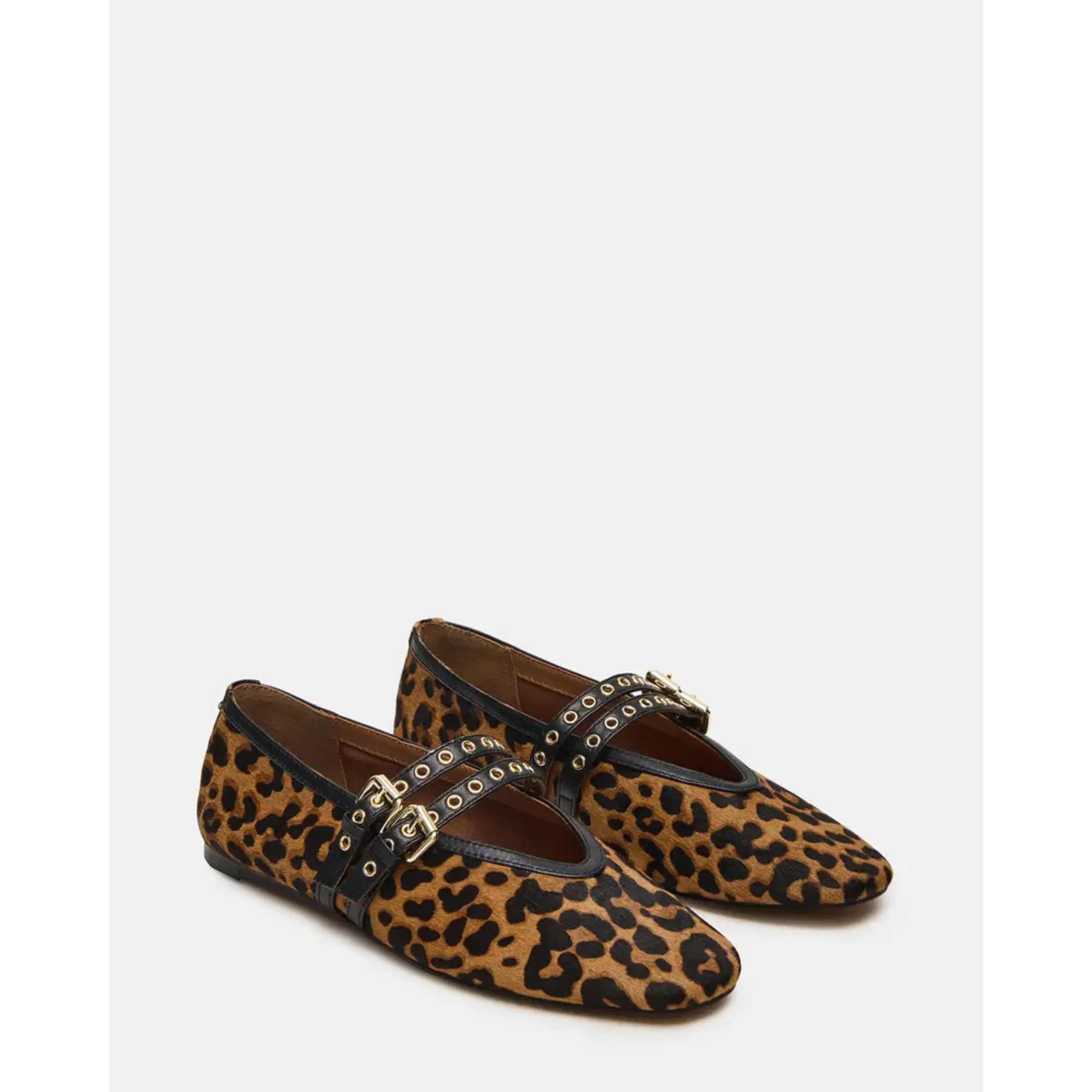 Sabrinas Lydia-L Leopard 2