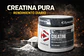 Creatina Monohidratada Creapure® 300g – Dymatize - Miniatura 5