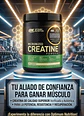 Creatina Micronizada 300g – Optimum Nutrition - Miniatura 3
