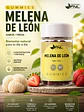 Melena de León Gummies FNL 60 Gomitas | Memoria, Enfoque y Concentración - Miniatura 2