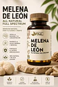 Melena de León Full Spectrum FNL 90 Cápsulas | Memoria, Enfoque y Claridad Mental - Miniatura 2
