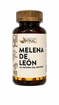 Melena de León Full Spectrum FNL 90 Cápsulas | Memoria, Enfoque y Claridad Mental - Miniatura 1