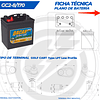 Batería 8V 170Ah Ciclo Profundo electrolítica FLA GC2-8/170 DACAR