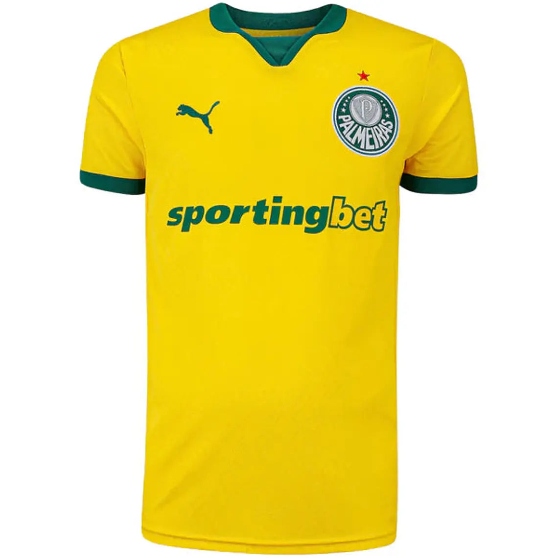 Camisa Palmeiras Puma III 25/26 Torcedor 1
