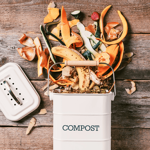 Taller de compostaje ( escala domiciliaria)