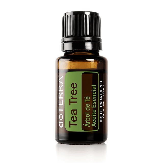 Aceite esencial Tea Tree (Árbol de Té) 15 ml