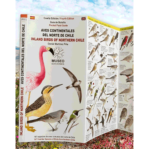 Guía de Bolsillo - Aves continentales del norte de Chile