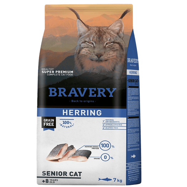 Bravery gato herring senior 2