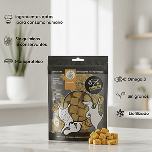 Snack Tributo Caldito Salmón 100gr