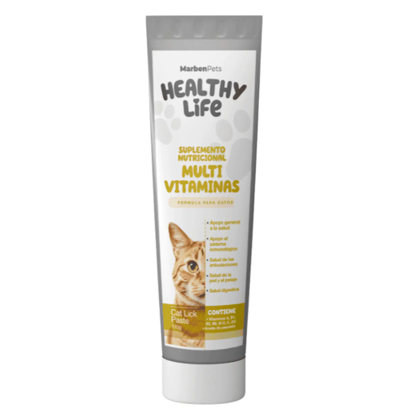 Healthy Life Pasta Multivitamínica 1
