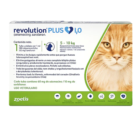 Revolution Plus Gato 5 a 10 Kg