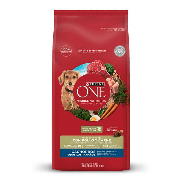 PURINA ONE CACHORROS TODOS LOS TAMAÑOS POLLO Y CARNE 12 KG 