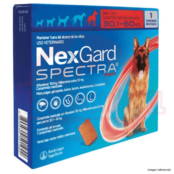 NEXGARD SPECTRA 30,1 A 60 KG 1 COMPRIMIDO 