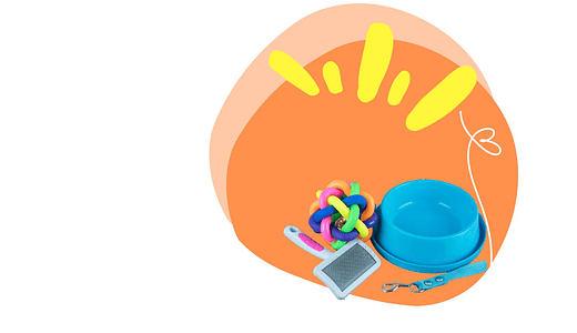 Pet Care y Accesorios