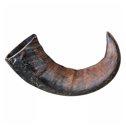 Corno de Bufalo