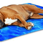 Tapete auto-refrescante Pet Cooling Mat