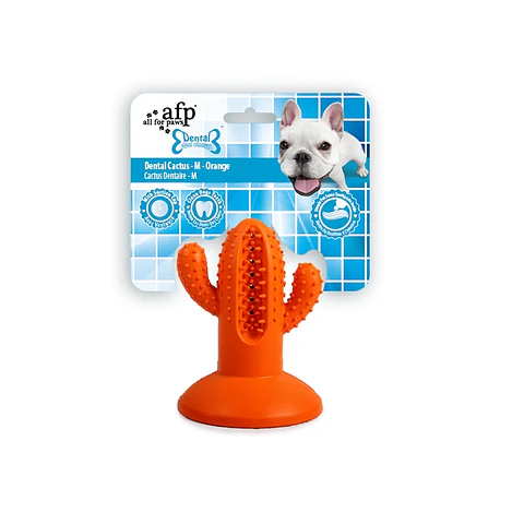 BRINQUEDO DENTAL CHEWS CACTUS M