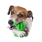 BRINQUEDO DENTAL CHEWS CACTUS L - Thumbnail 2