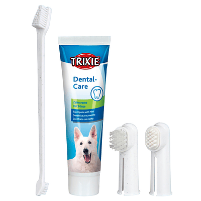Conjunto de Higiene Dentária para Cães