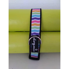 Coleira Zig Zag Multicolor - largura 3 cm