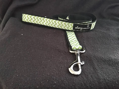 Trela Zig Zag verde 